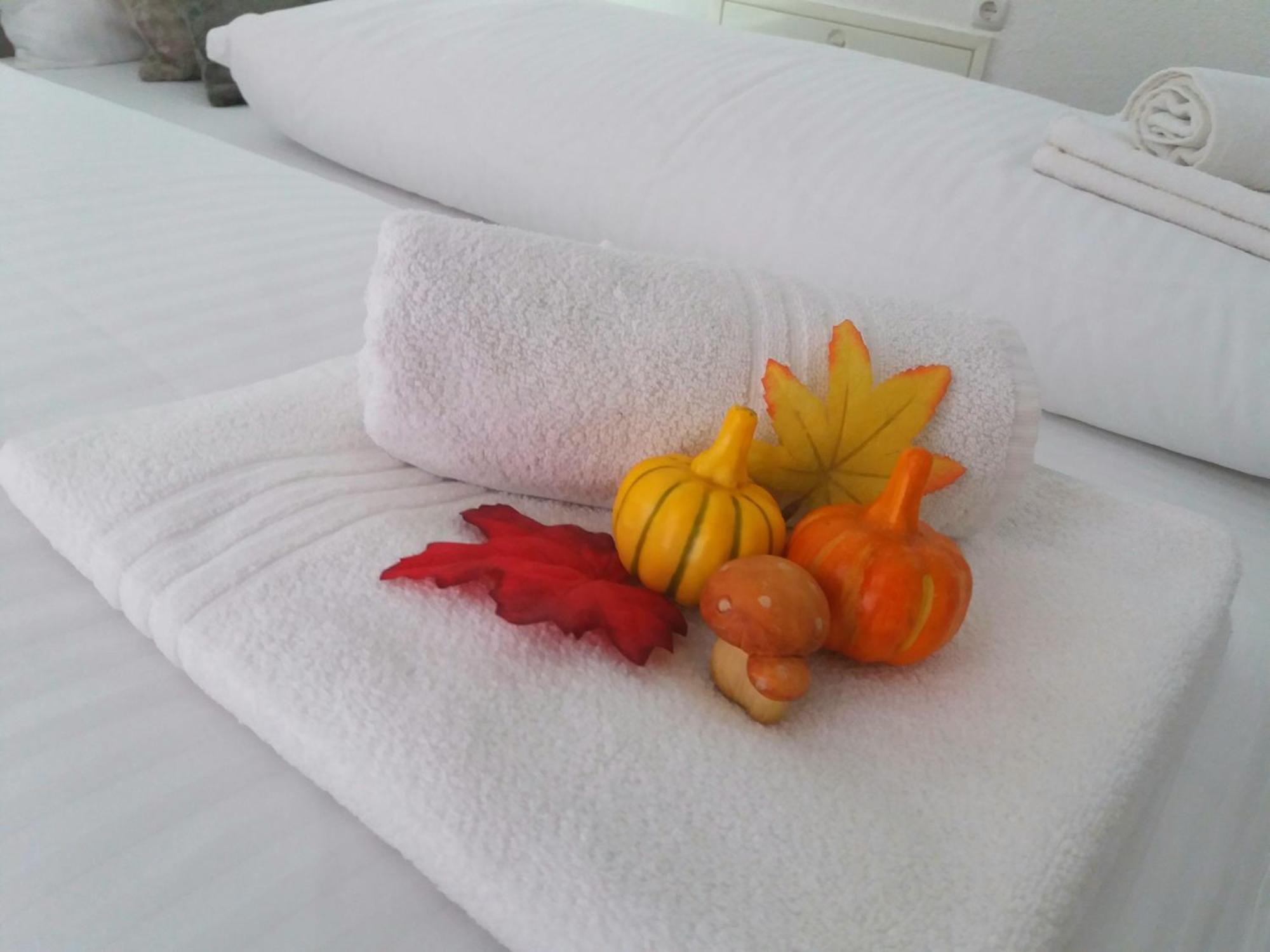 Apartment Esha ซาราเยโว ห้อง รูปภาพ